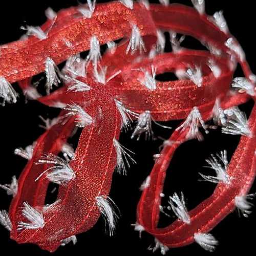 20mm Christmas Wired Red Tinseltown Ribbon - The Homespun Loft