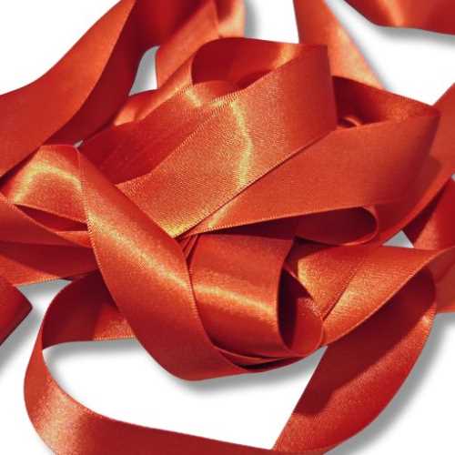 25mm Burnt Orange Pumpkin Autumn Ribbon - The Homespun Loft