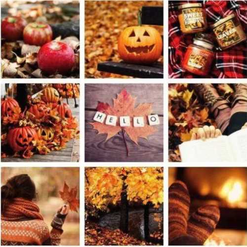 Autumn decorating