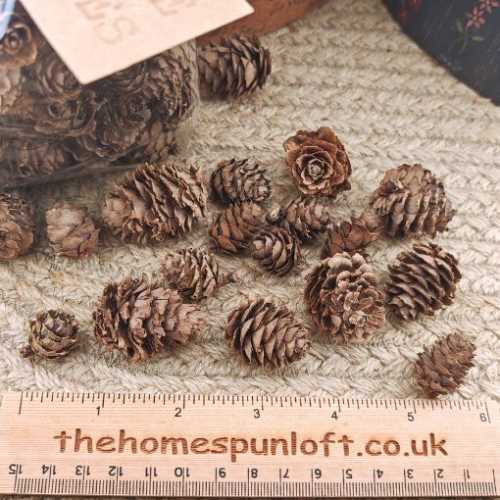 100g Bag of Mini Pine Cones for Crafts Decorating - The Homespun Loft
