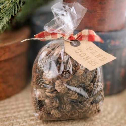100g Bag of Mini Pine Cones for Crafts Decorating - The Homespun Loft